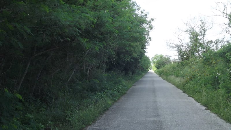 Carreteras de Candelaria fueron abandonadas por años: Muñoz Morfín